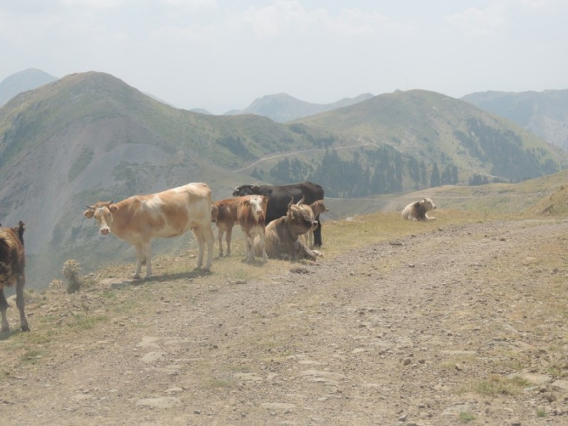 DSCN1316.jpg