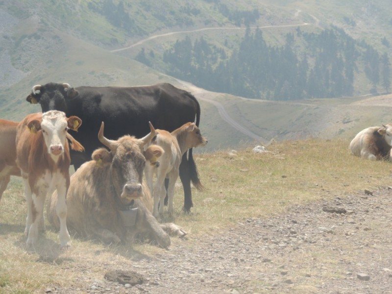 DSCN1317.jpg