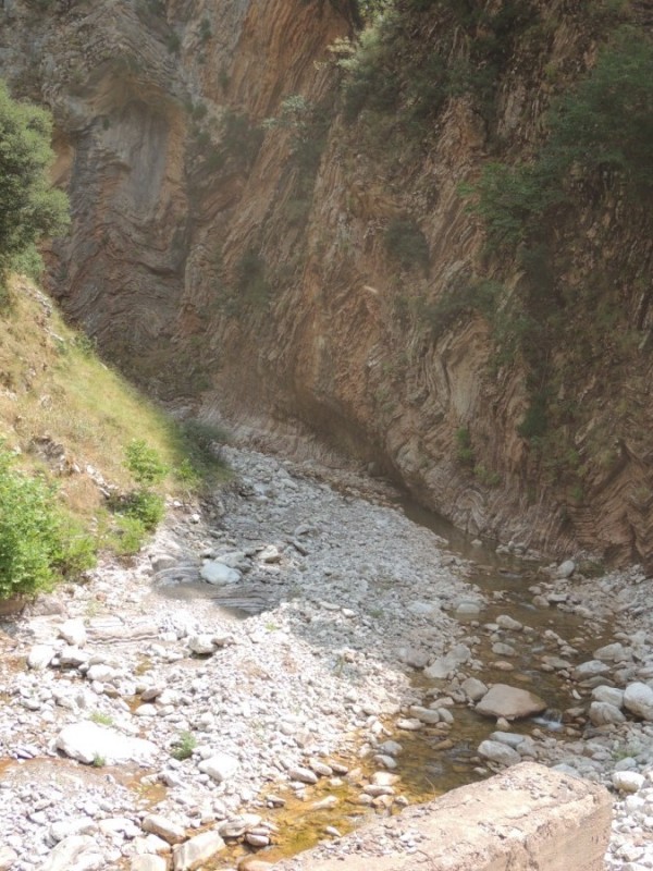 DSCN1320.jpg