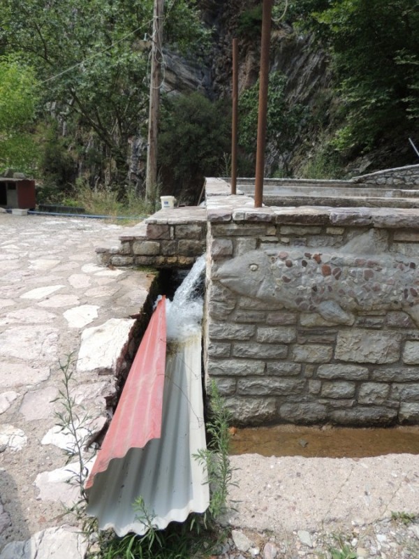 DSCN1333.jpg