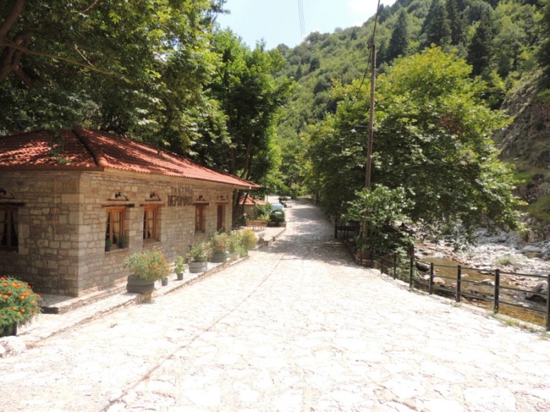 DSCN1335.jpg