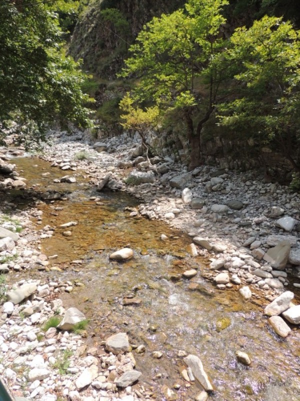 DSCN1336.jpg