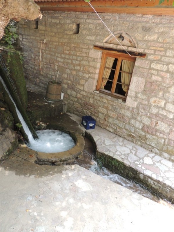 DSCN1339.jpg