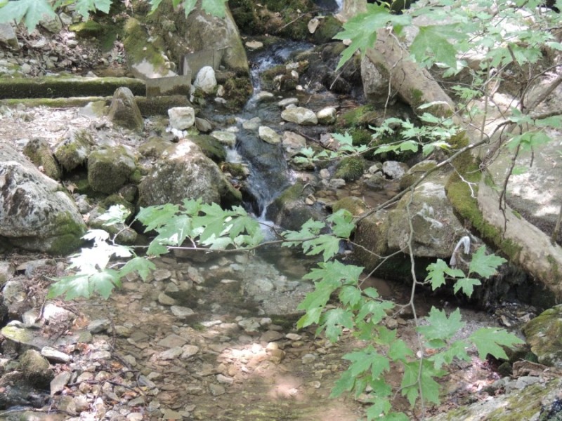 DSCN1349.jpg
