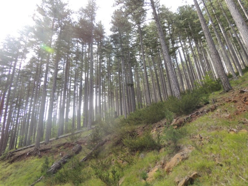 DSCN1454.jpg