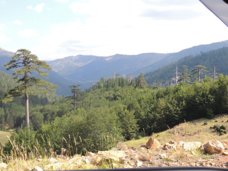 DSCN1457.jpg