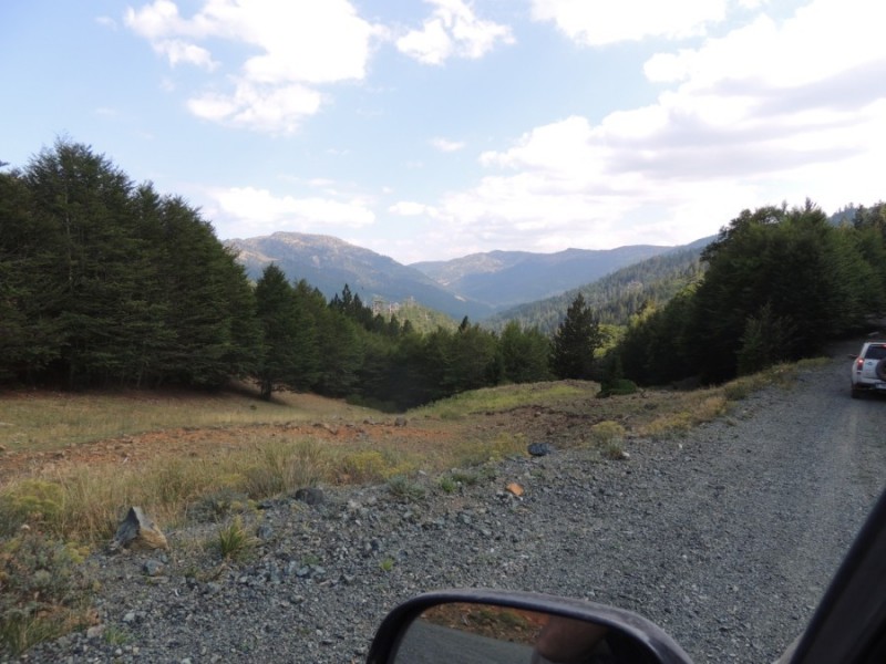 DSCN1460.jpg