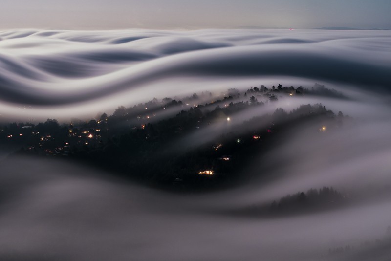 fog fingers _ marin county, california - Lorenzo Montezemolo - 2048px.jpg