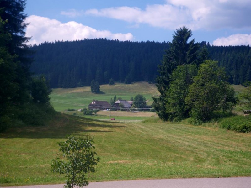 1-002a_1024x768.jpg