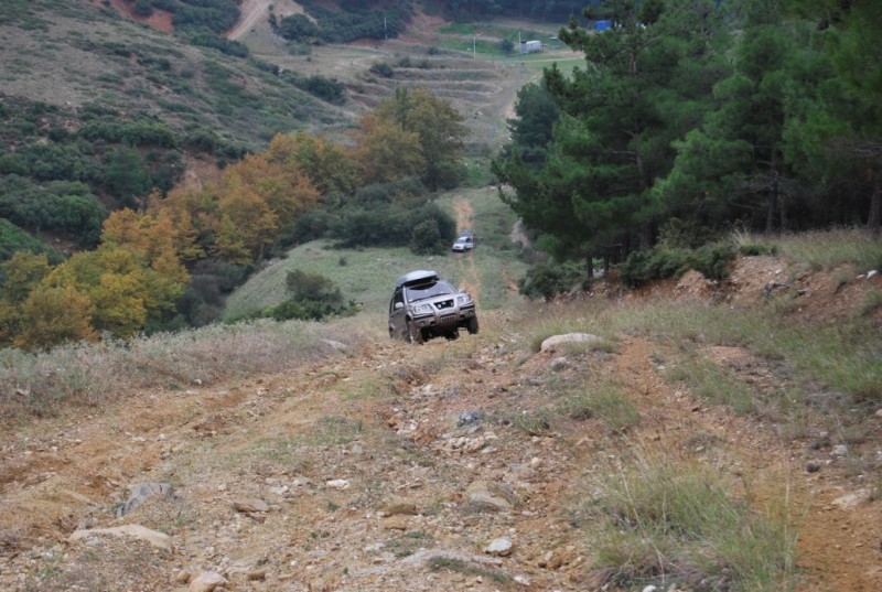 DSC_0774.jpg