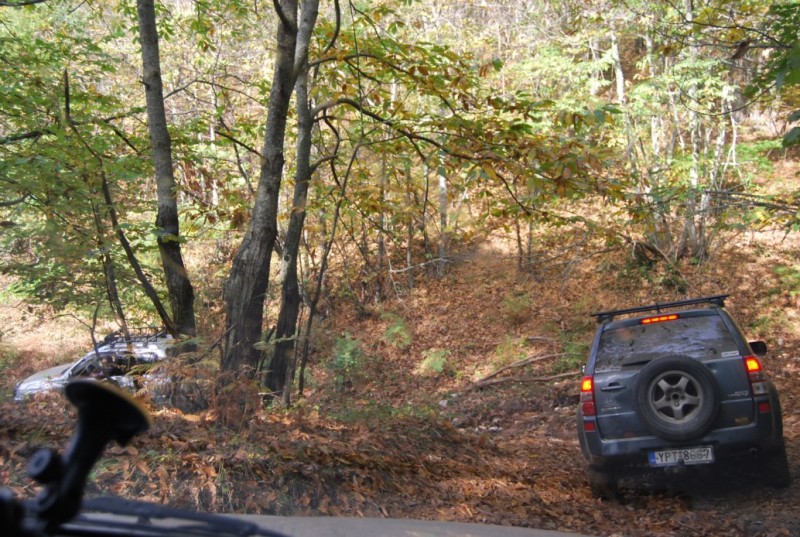 DSC_0916.jpg