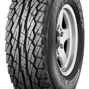 Falken-WildPeak-AT_lg_super-300x300.jpg
