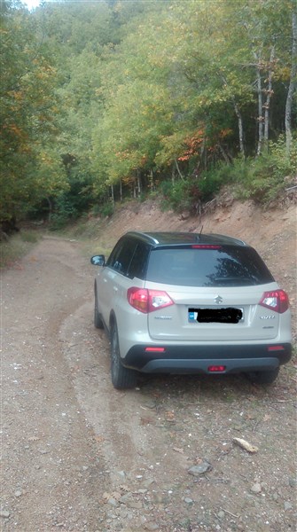 IMAG0719 (335 x 600) rsz.jpg