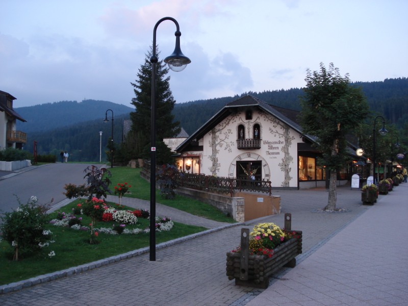 DSC01207 (800 x 600).jpg