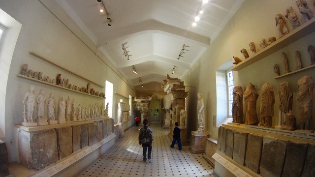 DSC02197.jpg