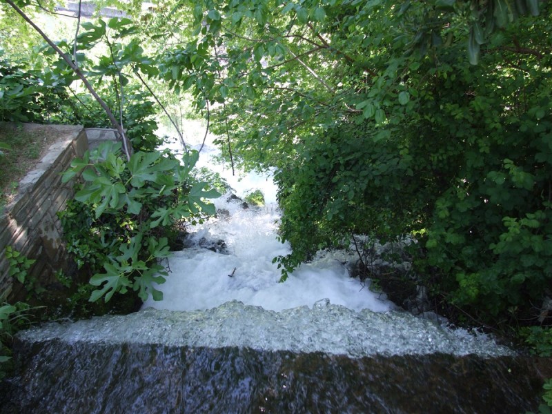 DSCF0012.jpg