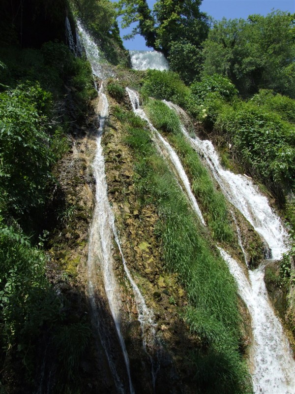DSCF0036.jpg