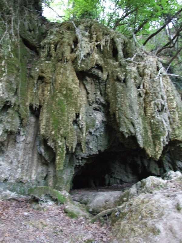DSCF0051.jpg