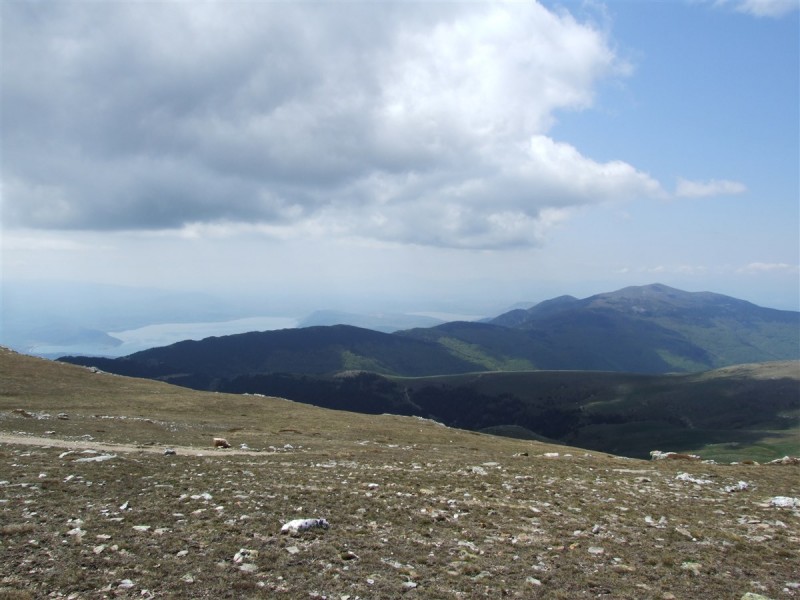 DSCF0063.jpg