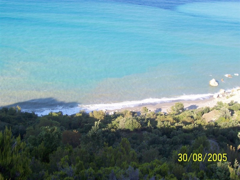 100_0704.jpg