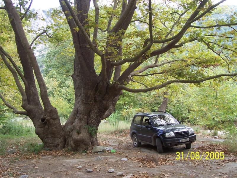 100_0711.jpg
