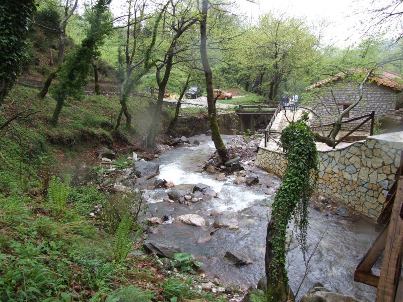 DSCF0050.jpg