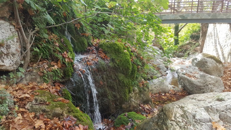 20161112_112730.jpg