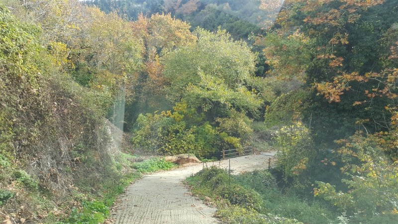 20161112_115048.jpg