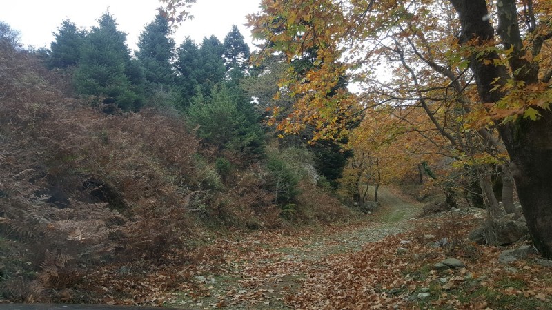 20161112_121242.jpg