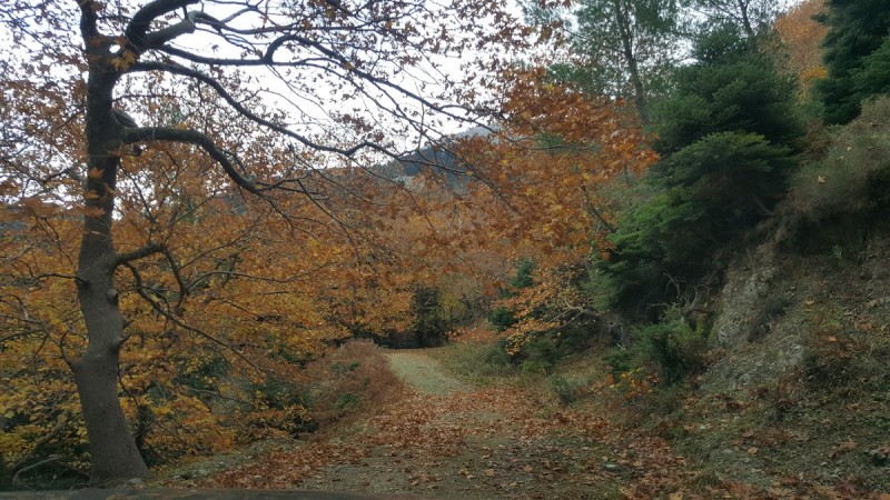 20161112_122030.jpg
