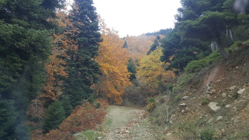20161112_122148.jpg