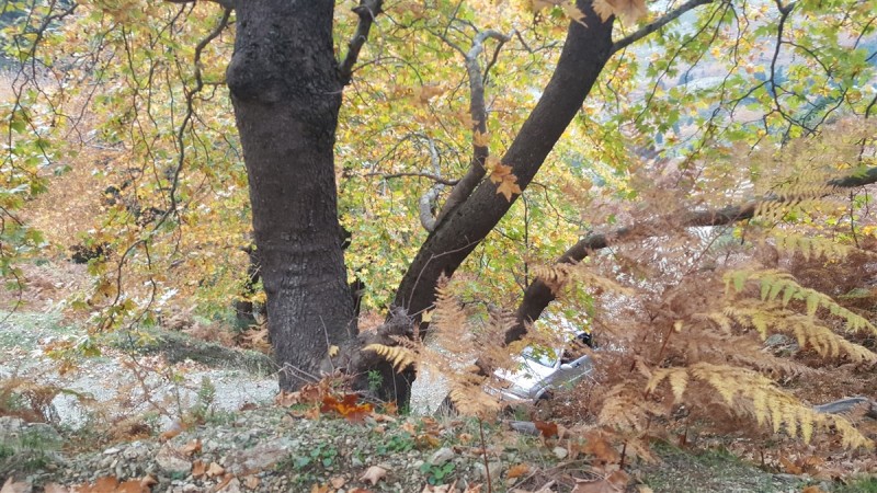 20161112_122625.jpg