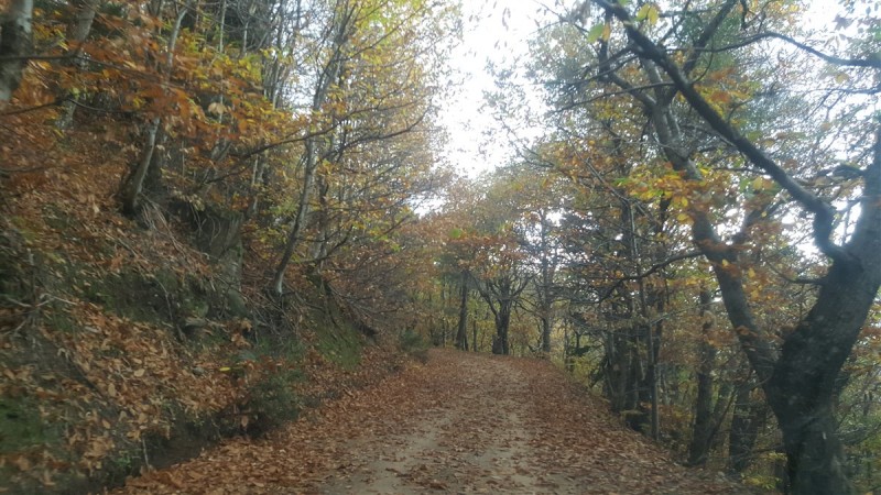 20161112_140707.jpg