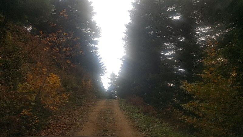 20161112_141634.jpg