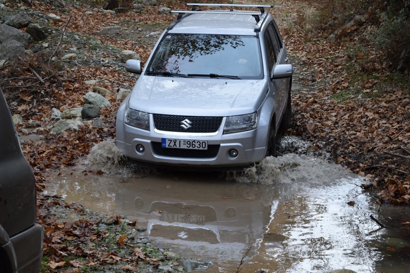 DSC_0803.JPG