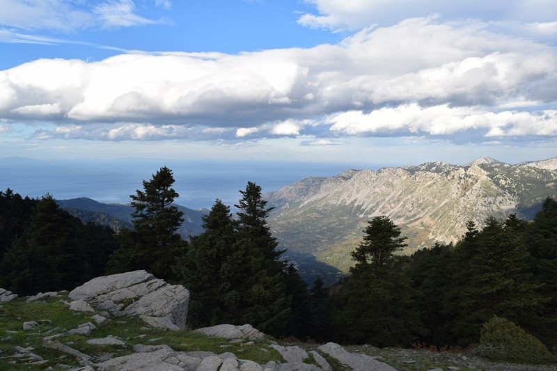DSC_0812.JPG