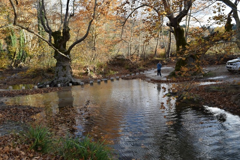 DSC_0825.JPG