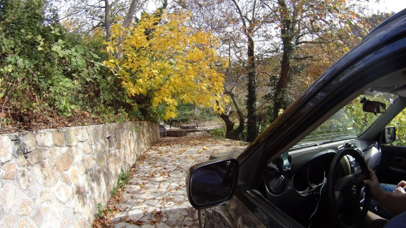 DSC02365.JPG
