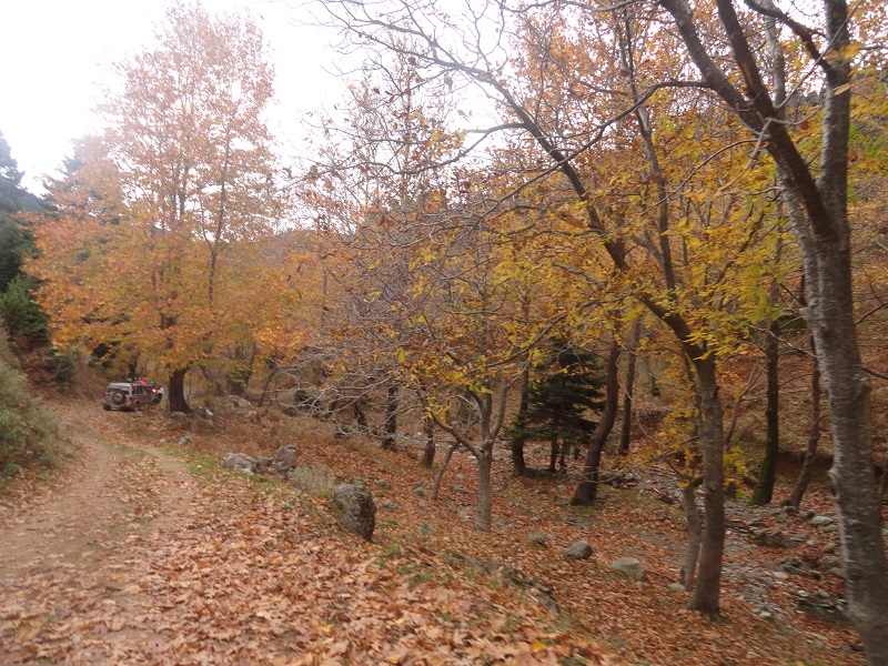 DSC04341.JPG