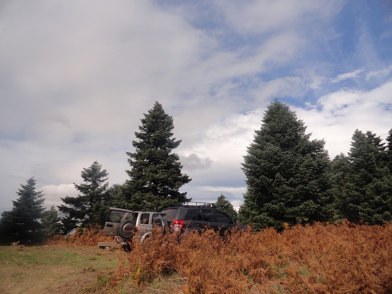 DSC04351.JPG