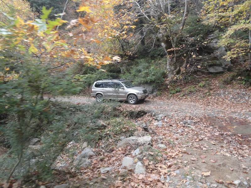 DSC04360.JPG