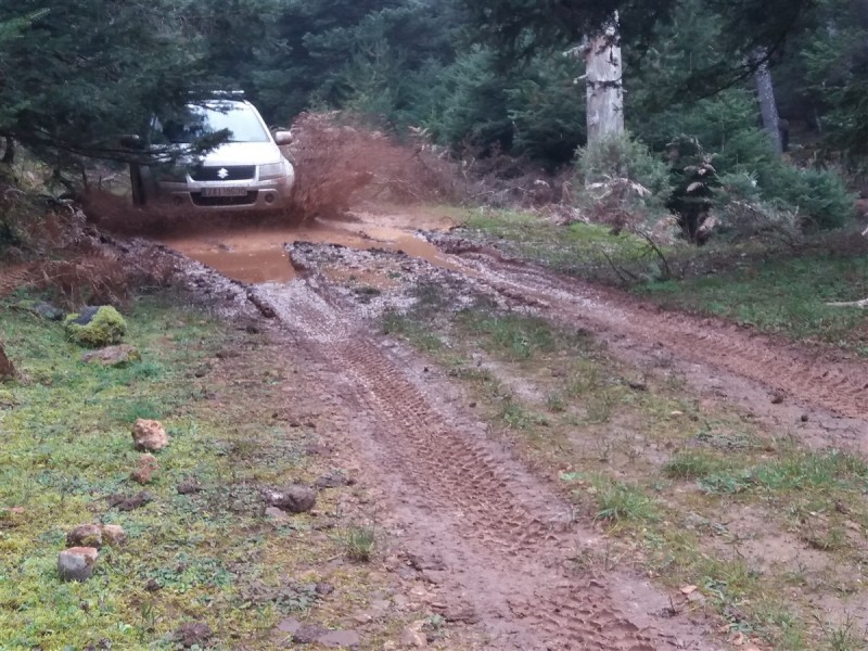 20161126_145557.jpg