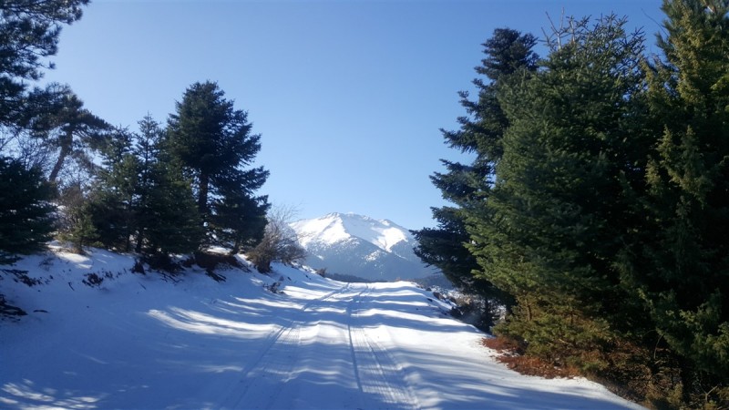 20161224_115346.jpg