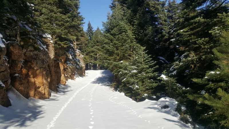 20161224_122627.jpg