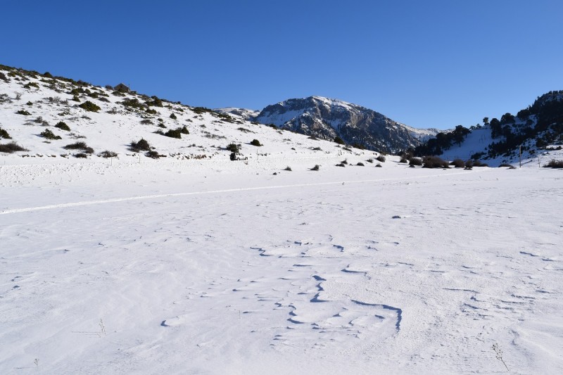 DSC_1026.jpg