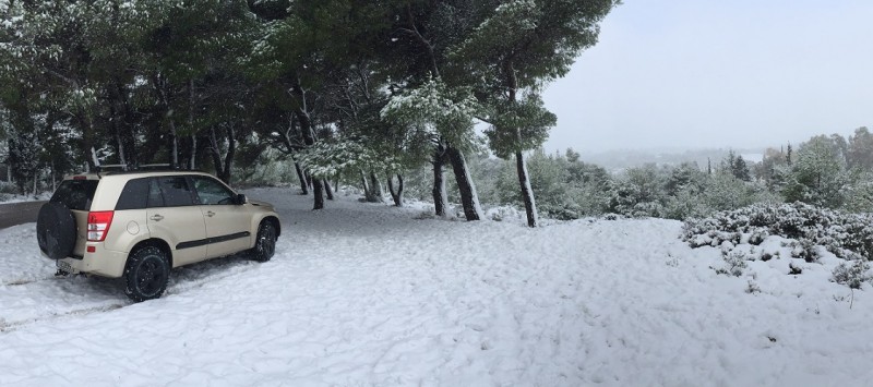 20161230-NGV-Tatoi.jpg