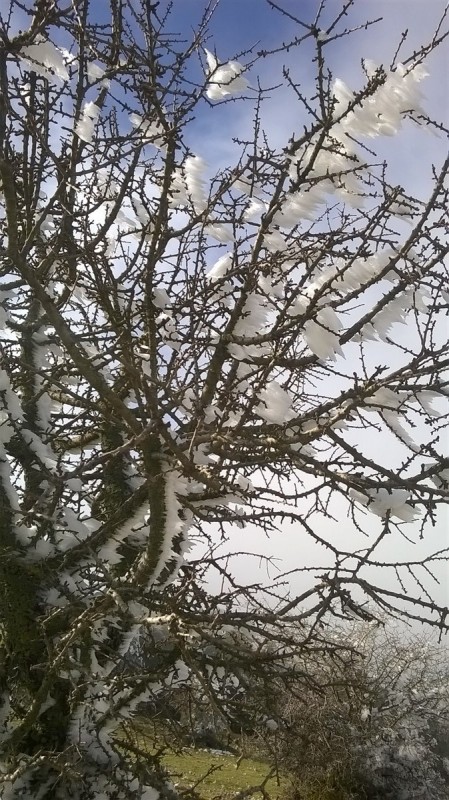 WP_20170122_005.jpg