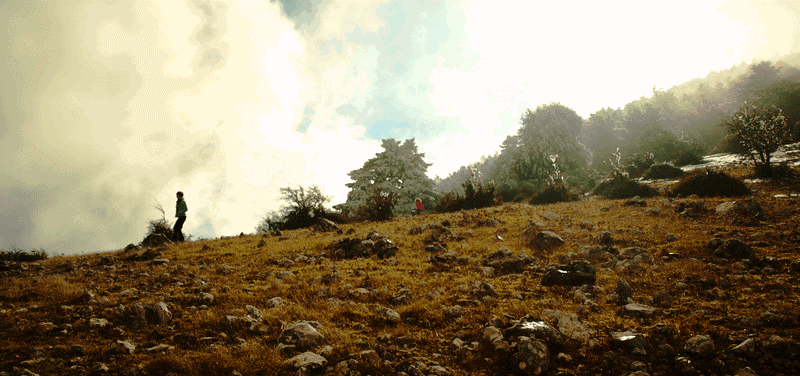 P1221448.gif