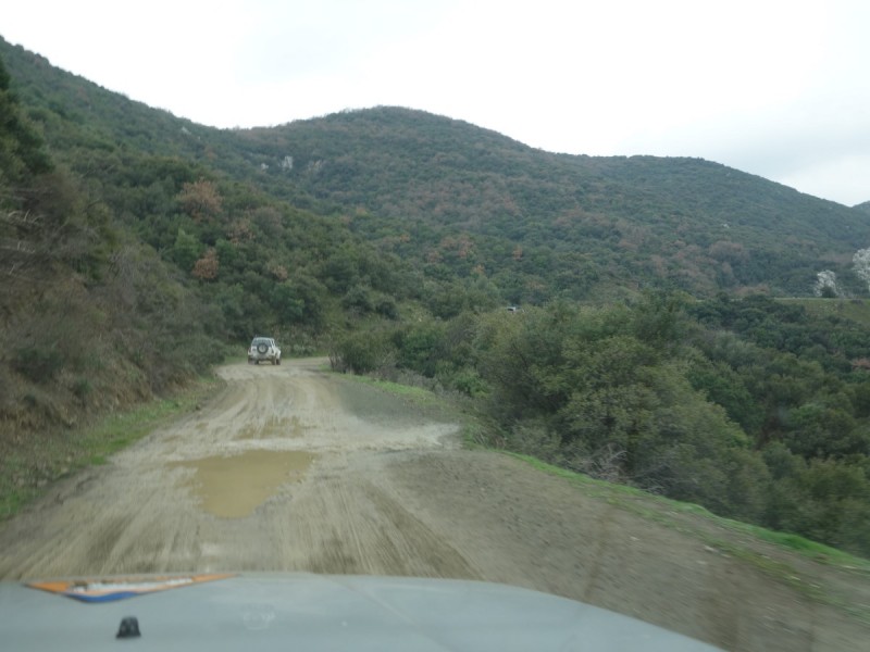 DSC01010.jpg