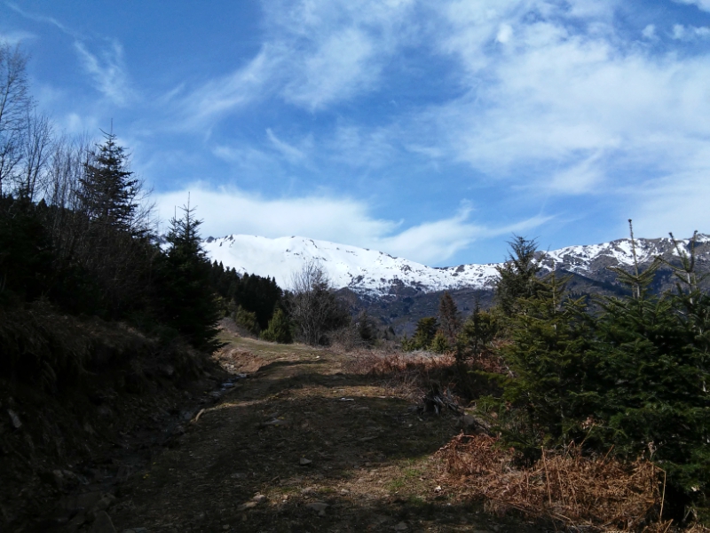 20170305_133730.jpg